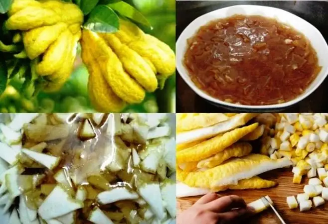 Phật Thủ Phơi Khô: Công Dụng, Cách Làm Và Những Lưu Ý Quan Trọng