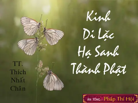 Kinh Phật Thuyết Di Lặc Hạ Sanh Thành Phật