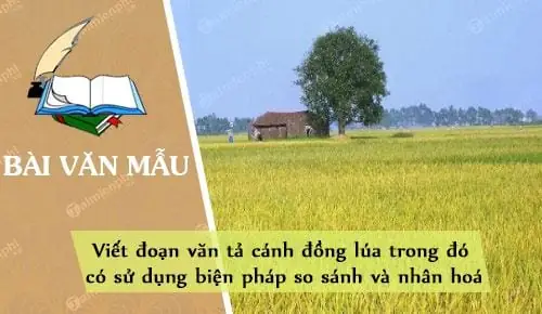 Viết Đoạn Văn Có Sử Dụng Biện Pháp So Sánh: Bí Quyết Và Ví Dụ Thực Tiễn