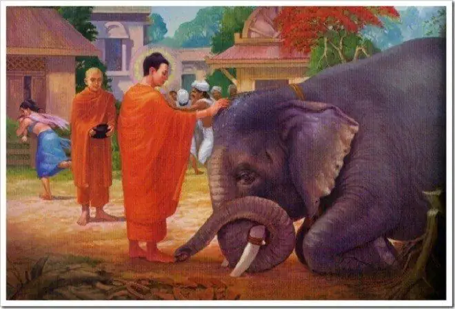 Phật Từ Bi Thánh Một Ly Cũng Chấp: Ý Nghĩa Sâu Sắc Trong Đạo Lý Nhà Phật