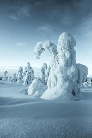 Phật Tử Cầu Nguyện Vào Top 70 Ảnh Đẹp Nhất Năm Của Natgeo - Ảnh 10.