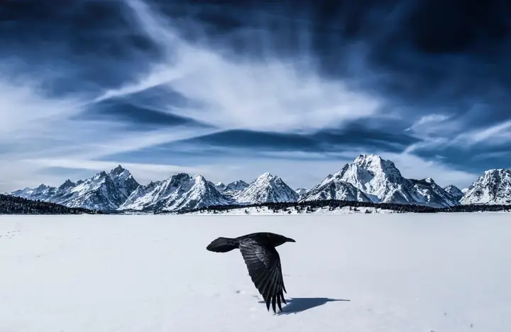 Phật Tử Cầu Nguyện Vào Top 70 Ảnh Đẹp Nhất Năm Của Natgeo - Ảnh 5.