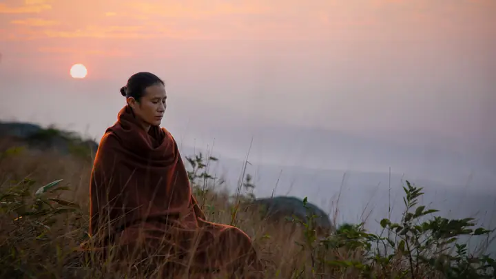 Nhập Thất Tu Tập Trong Rừng