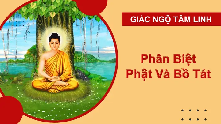 Cách Phân Biệt Phật Và Bồ Tát Như Thế Nào Cho Đúng?