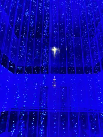 Ý Nghĩa Đảnh Lễ Xá Lợi