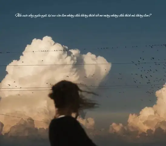 Âm Nhạc Và Âm Thanh: Tạo Không Gian Thiền Định