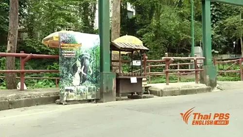 Phim Truy Tìm Tượng Phật