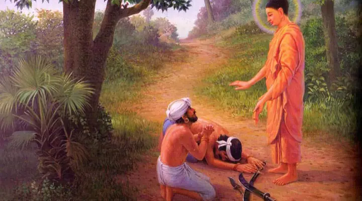 Ngược Đời: Buông Hạ Đồ Đao, Lập Địa Thành Phật Lại Gặp Họa Sát ...