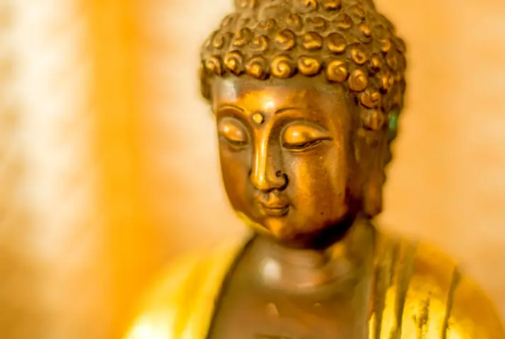 Mạn Đàm Về Các Chư Phật Trong Phật Giáo | Đại Tùng Lâm Hoa Sen