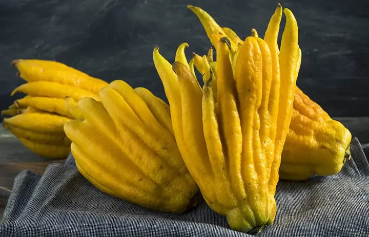 Trái Phật Thủ Là Gì? Ý Nghĩa Của Quả Phật Thủ Ngày Tết