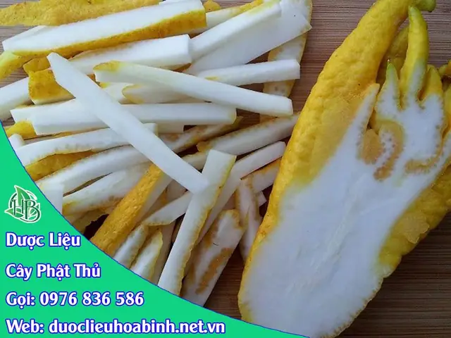 Công Dụng Và Liều Dùng Cây Phật Thủ