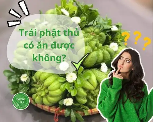 Trái Phật Thủ Có Ăn Được Không