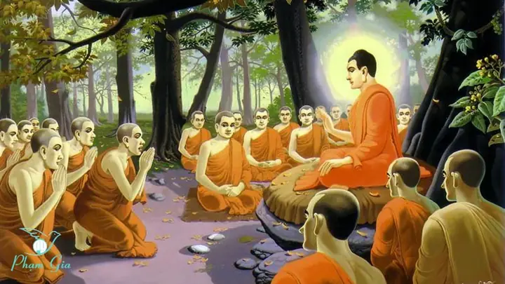 Sự Phát Triển Của Phật Giáo