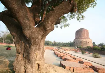 Quê Hương Phật Giáo