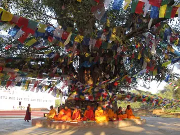 Quê Hương Phật Giáo