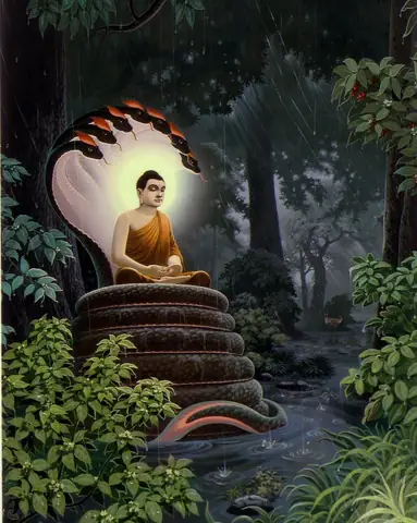 Rắn Thần Naga Che Mưa Cho Đức Phật Thích Ca
