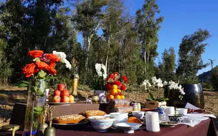 Sáng Dậy Nghe Kinh Phật: 5 Lợi Ích Tâm Linh Giúp Khởi Đầu Ngày Mới An Yên