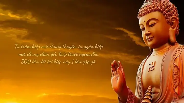 Hướng Dẫn Chi Tiết Cách Viết Status Về Phật Giáo Hay, Sâu Sắc Và Mang Tính Truyền Cảm Hứng