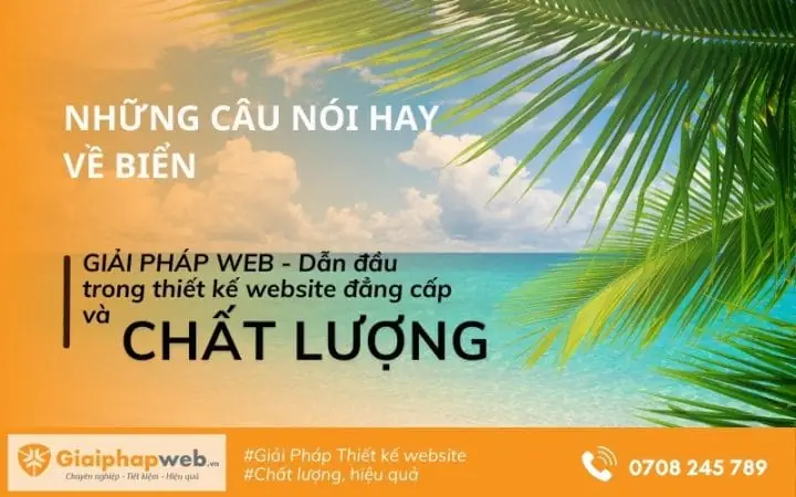 Bài Viết Liên Quan