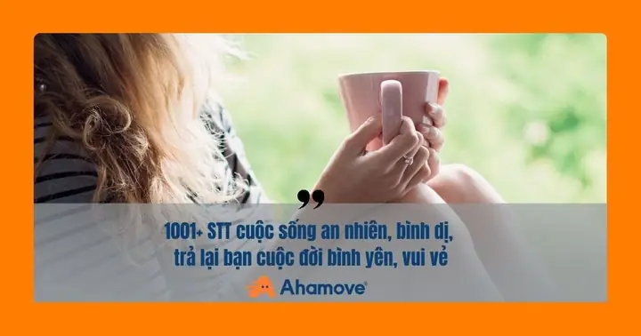 Tổng Hợp 1001+ Stt Cuộc Sống An Nhiên, Bình Dị, Trả Lại Bạn Cuộc ...