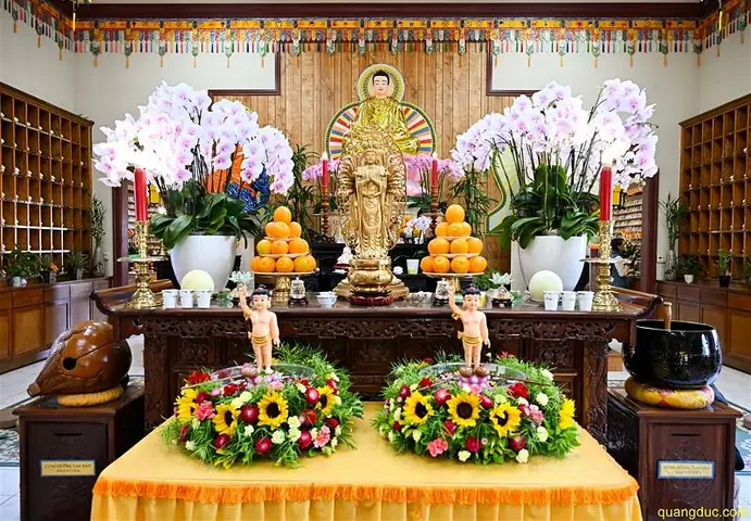 Sự Ra Đời Của Triết Học Phật Giáo: Hành Trình Từ Giác Ngộ Đến Hệ Thống Tư Tưởng