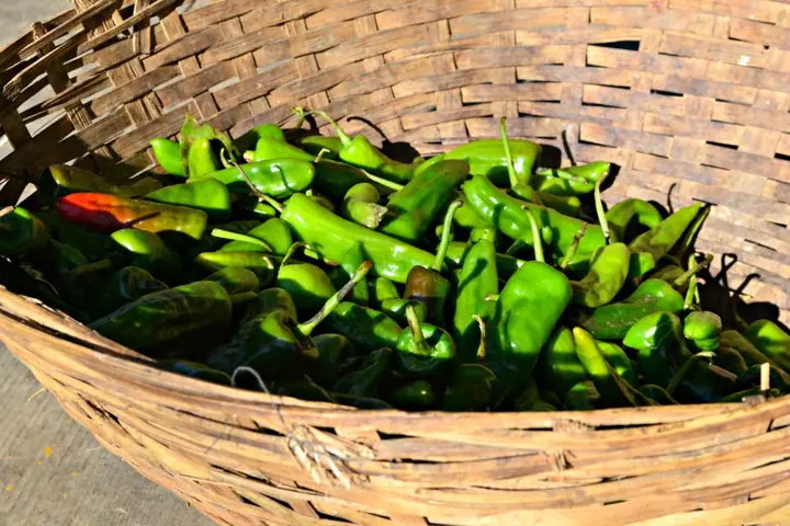 30 Sự Thật Gây Ngạc Nhiên Về Vương Quốc Phật Giáo Bhutan