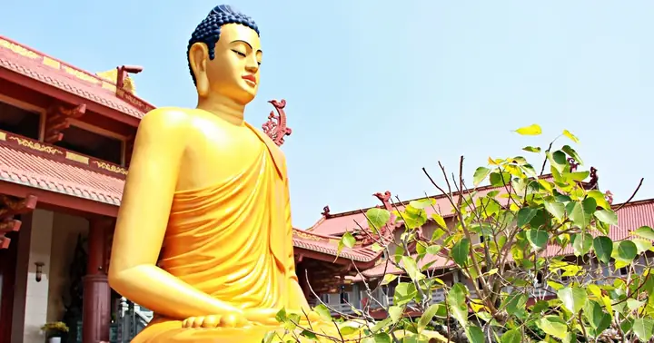 Chuyện Về Tượng 'phật Cô Đơn' Tọa Thiền Giữa Cánh Đồng Hoang Tàn ...