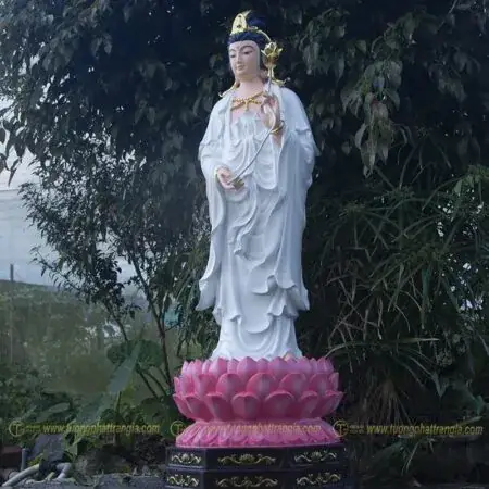 Vai Trò Tiếp Dẫn Về Cực Lạc