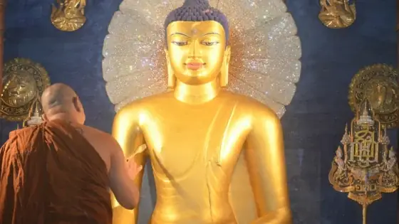 “ta Là Phật Đã Thành, Các Ngươi Là Phật Sẽ Thành”