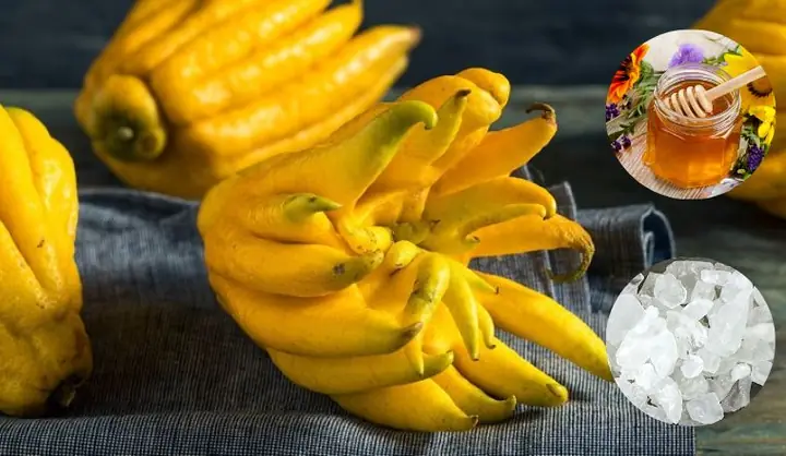 Không Chỉ Để Trưng, Quả Phật Thủ Còn Trị Ho Nếu Làm Theo Cách Này