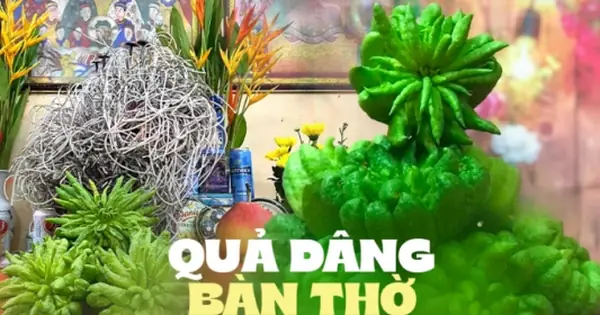 Lý Do Đặc Biệt Khiến Nhiều Người Bày Phật Thủ Trên Bàn Thờ Ngày Tết