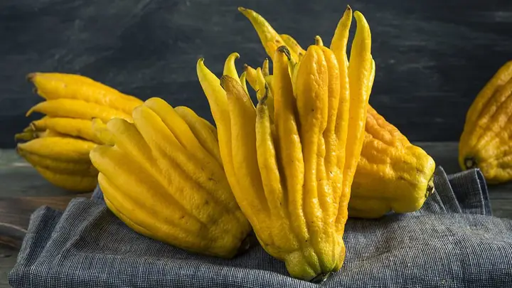 Quả Phật Thủ Là Quả Gì? Ý Nghĩa Và Cách Chọn Mua Phật Thủ Đẹp ...