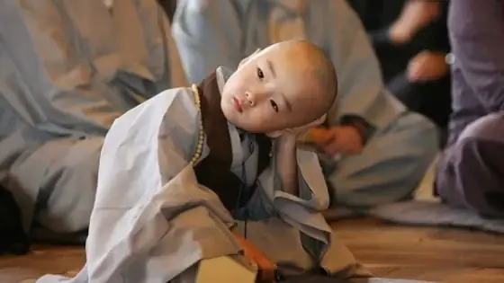 Tại Sao Khi Niệm Phật Thường Hay Buồn Ngủ?