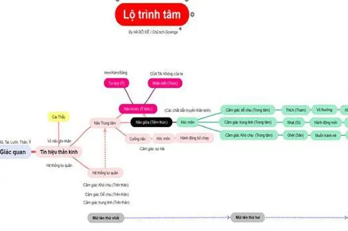 Tâm Là Gì, Ở Đâu? Tại Sao Lại Là 'phật Tại Tâm?' - Tạp Chí Nghiên Cứu ...