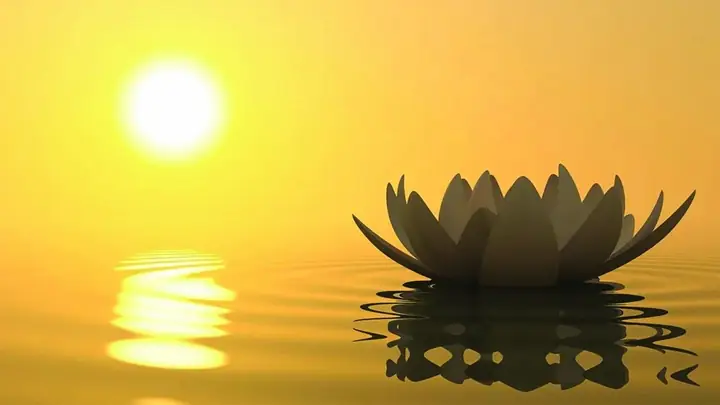 Tâm Lý Học Phật Giáo Đối Với Sự Tự Tại Và Hạnh Phúc