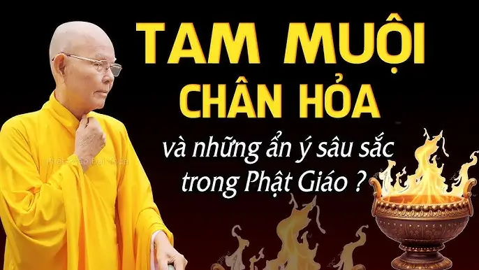 Tam Muội Trong Phật Giáo Là Gì? Khám Phá Sâu Sắc Về Trạng Thái Thiền Định Cao Cấp
