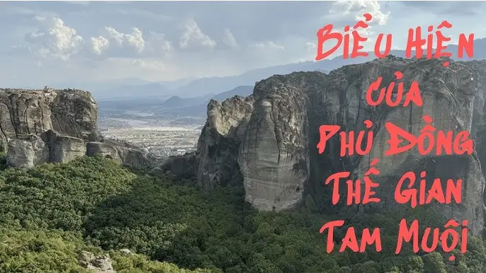 Tam Muội Trong Phật Giáo Là Gì? Khám Phá Sâu Sắc Về Trạng Thái Thiền Định Cao Cấp