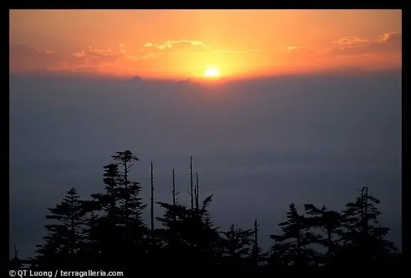 Tam Nghiệp Hằng Thanh Tịnh Đồng Phật Vãng Tây Phương: Ý Nghĩa, Công Phu & Phương Pháp Tu Tập