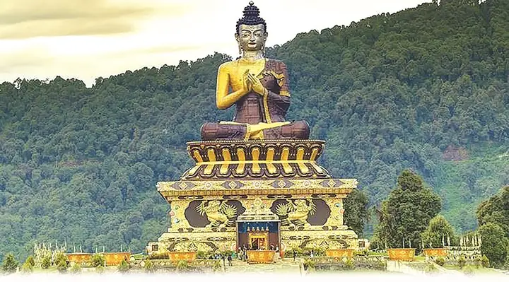 Tạo Hình Tai Phật: Xu Hướng Làm Đẹp Tiềm Ẩn Rủi Ro Tắc Mạch Và Hoại Tử