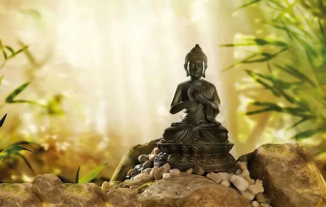 Tất Cả Chúng Sanh Đều Có Phật Tánh, Tại Sao Phải Tu?