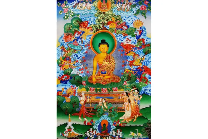 Diệu Vợi Tổng Hợp