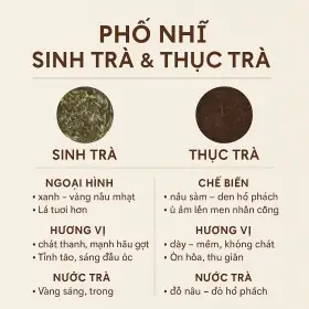 Thác Khói Trầm Hương Bàn Tay Phật Tktp15