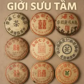 Kỷ Lục Đấu Giá Trà Phổ Nhĩ: Khi Bánh Trà Cổ Có Giá Hàng Chục Tỷ Đồng