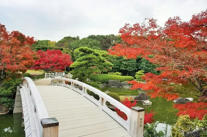 Ứng Xử Nơi Công Cộng