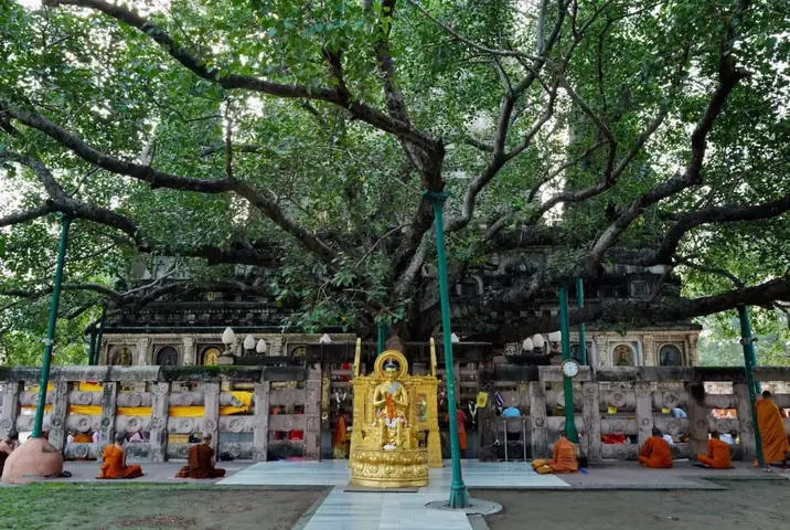 Tích Trụ Đá Của Vua A Dục Trong Khuôn Viên Vườn Lộc Uyển. Source: Sbs / Đăng Trình.