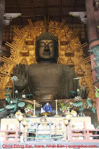 Thanh Tịnh Pháp Thân Phật: Khám Phá Bản Chất Cốt Lõi Của Phật Giáo