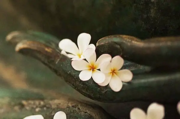 Thập Thiện Của Phật Giáo