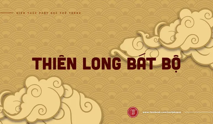 Thiên Long Bát Bộ Là Gì?