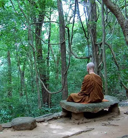 Thiền Phật Giáo - Nguyên Thủy Và Phát Triển