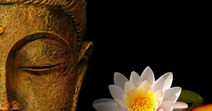 26 Bài Thơ Hay Về Hoa Sen Dâng Phật